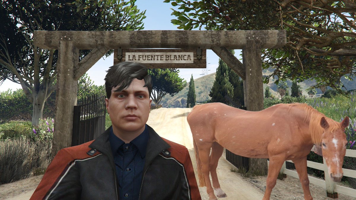 i don't drop my live link in other discords as i find it doesn't help! no one tends to take notice!! all future announcement will be made hear on Sunday the 30th i will be doing a IRL stream @ 5pm with my horse shine it would great to see you their!! #Horses