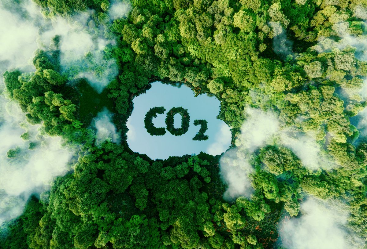 GWDtoken's tweet photo. 📌 Today, in the #GREENWORLD EDUCATIONAL section we are going to talk about Carbon Credits.

Did you know that carbon credits can be traded, creating a dynamic market that encourages emission reduction efforts??

Thread🧵🧵

#GreenWorld #GWDToken #GWD https://t.co/NXkPKhrfPU