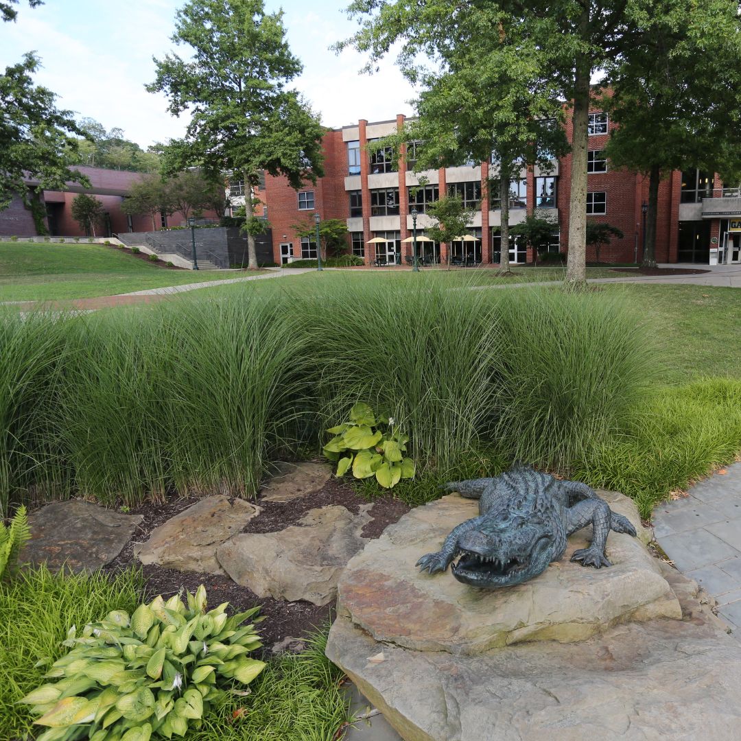 Allegheny Admissions tweet media