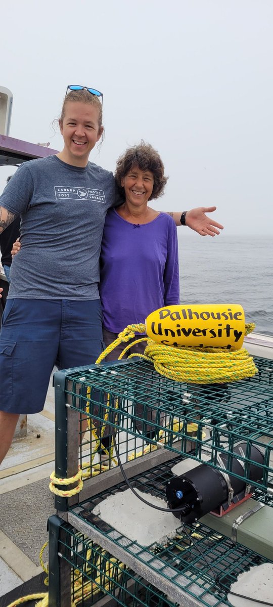 MonikaNeufeld's tweet photo. Deploying our first BRUV in the Eastern Shore Islands to monitor fish and invertebrate populations in our NS kelp beds! 
Reppin' Tiger colors! 🐯 https://t.co/x7V0uXtxpT