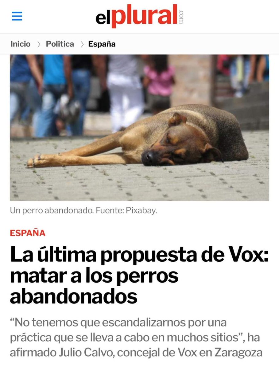 feliz_granjero's tweet photo. Vox propone matar perros abandonados. Espero que los votantes de derechas no tengáis perros que se escapen y se pierdan https://t.co/P2fhriEdbh