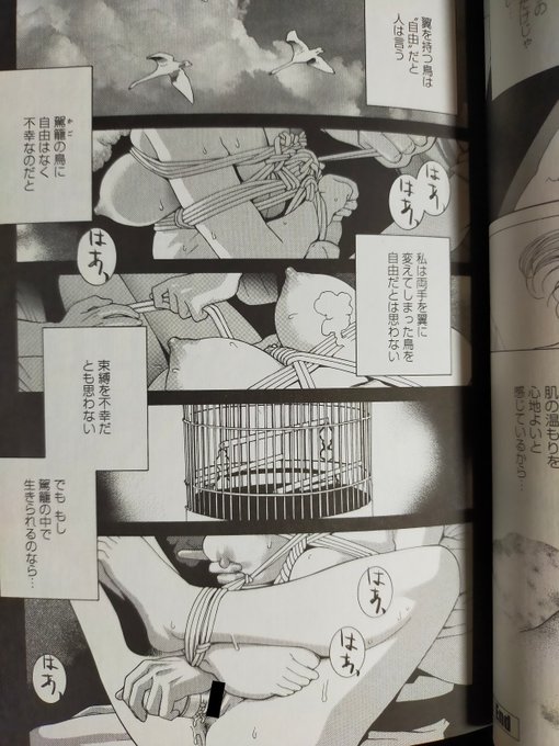 秘蜜にはこんなのも収録されています。 