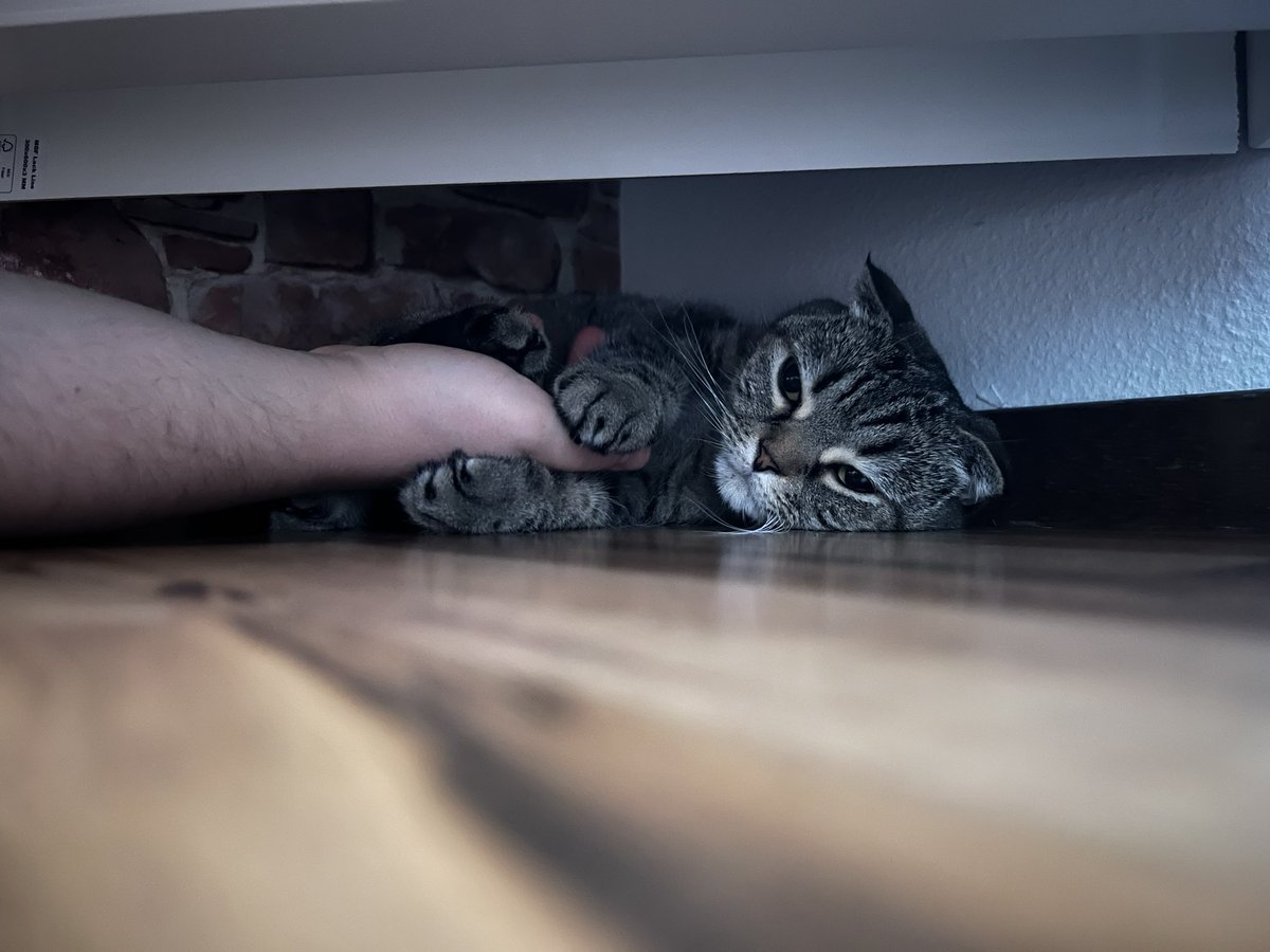 byARCTIC tweet media