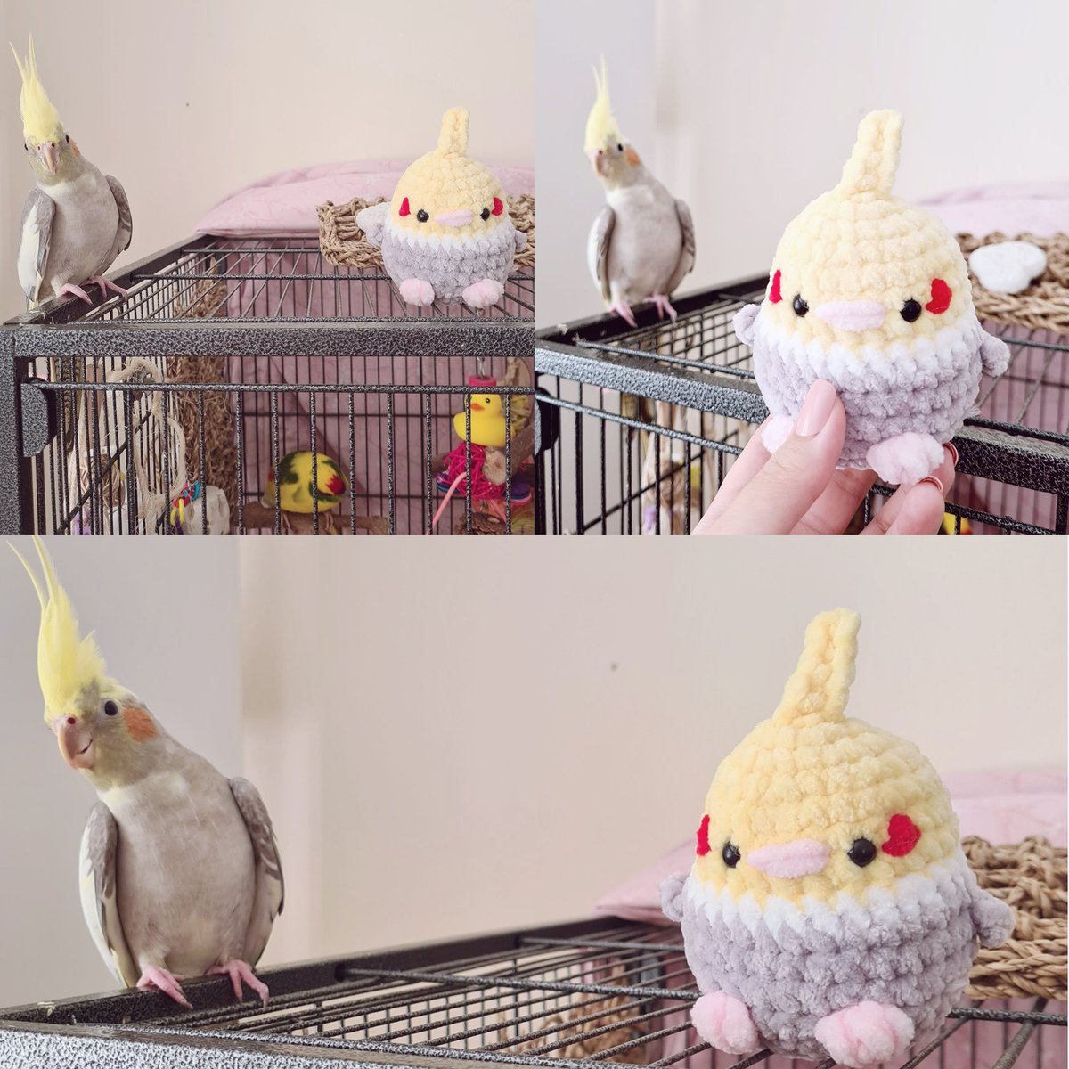LadySakuraDoll's tweet photo. Not sure Freya approves the newest addition to the family🤭😅
#pet #bird #parrot #cockateil #crochet #birb https://t.co/qVUFsk5mjf