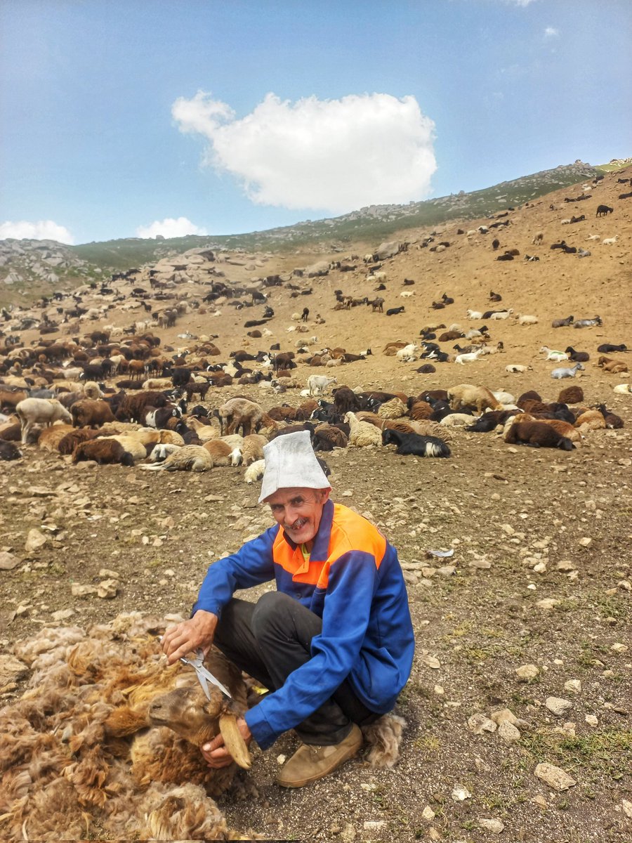 Talabsho9090's tweet photo. Yesterday's photos at the height of 3000 mt Tajikistan, Rasht (Garm) valley, Lakhsh (Jirgatol) district https://t.co/ydWmFv5DBm