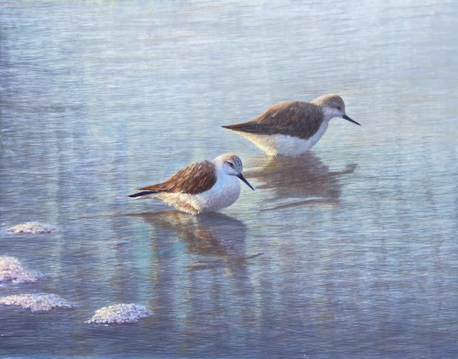 Daniel Ambose tweet media