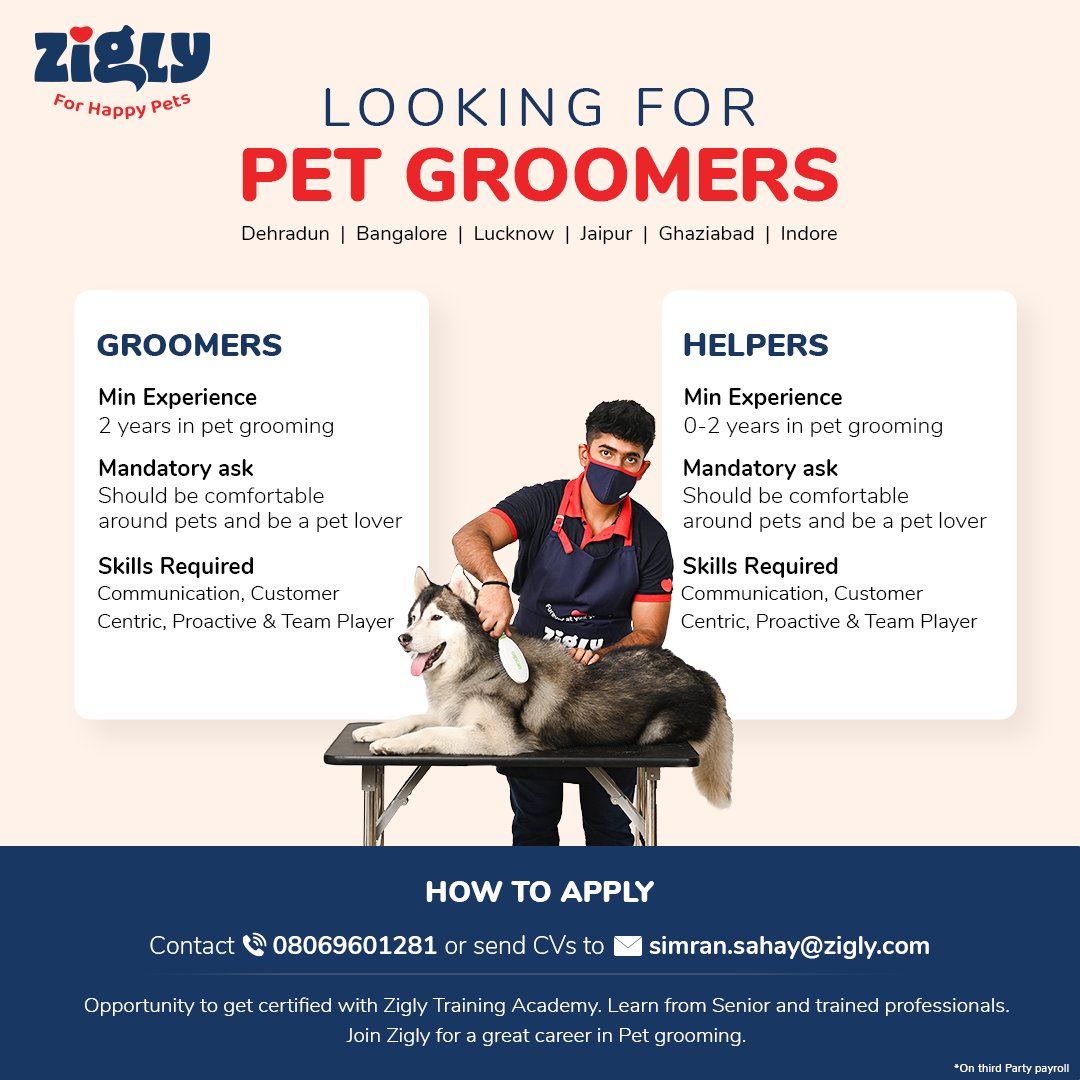 ziglyforpets's tweet photo. We are #Hiring #PetGroomers across cities.
Calling out #PetLovers (freshers or experienced) for getting an amazing opportunity to #Learn and #Grow in one of the fastest growing sector in the Country.
Working at #Zigly, gives you an opportunity to learn the art of #PetGrooming https://t.co/vVU1NdM4gv