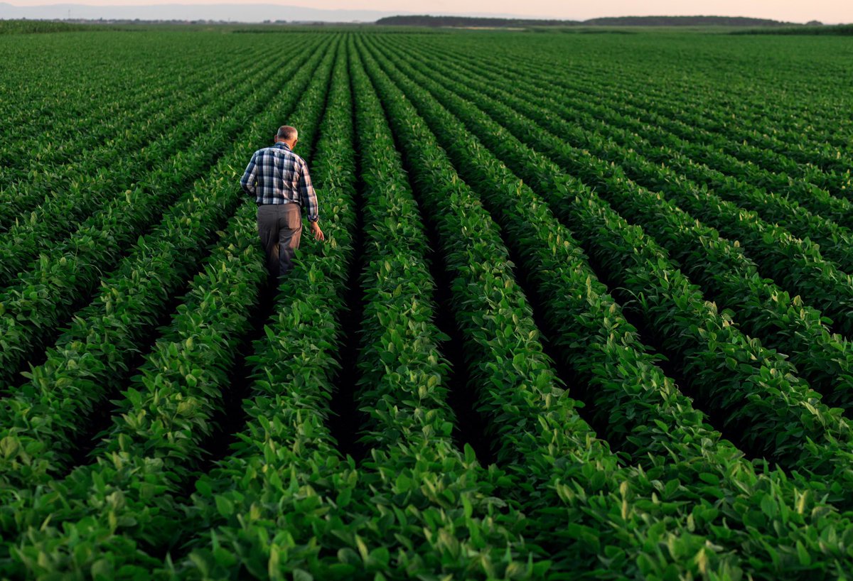 Are you a soybean producer and want to know more about IP production with Prograin?  On July 27th in Oak Bluff, MB we will discuss chemistry, crop-management, processing &amp; reception points and R &amp; D. 

Email marie-eve.roy@prograin.qc.ca . to secure your spot!