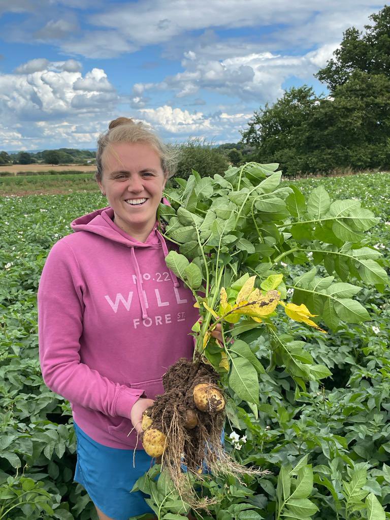 Crop4Sight tweet media