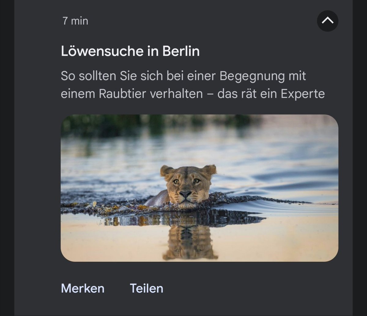 Mein Löwe      Mein Bär
                       🤝