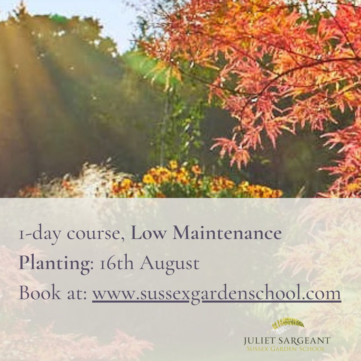 By choosing ‘well-behaved’ plants that are right for your #garden, and combining #plants so they need less care, you can have a colourful and interesting scheme with the minimum of maintenance. Find out more on our Low Maintenance #gardening course sussexgardenschool.com/courses/low-ma… #sussex