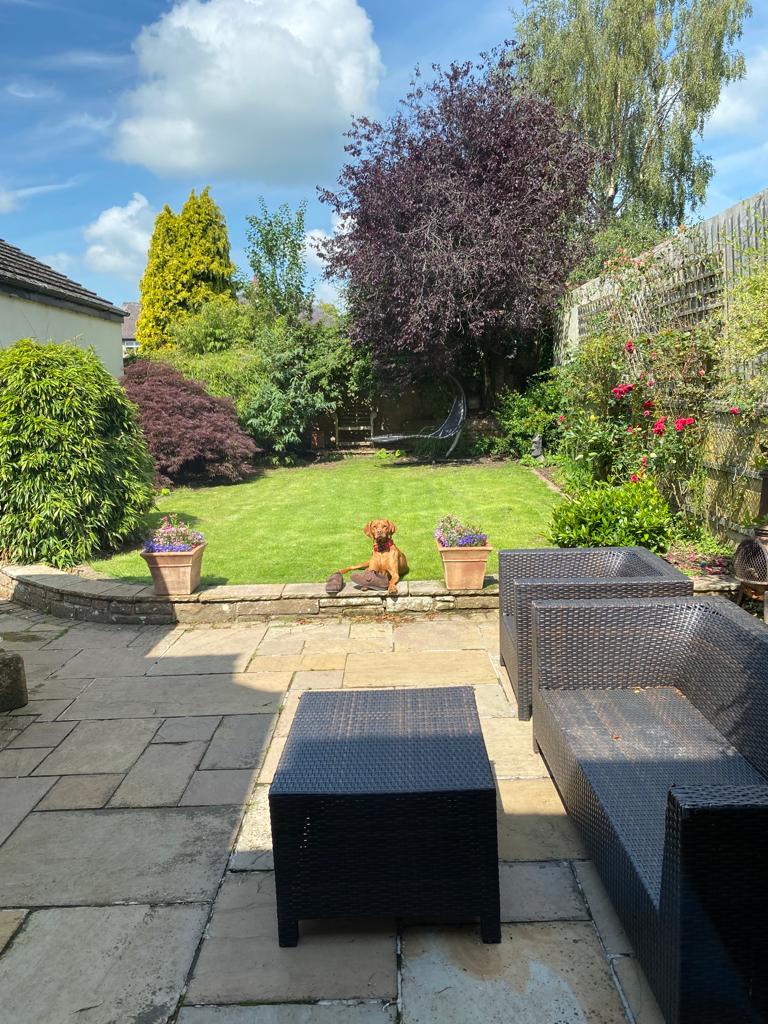 SOE_Spirit's tweet photo. So I went this morning having changed into my driving shoes and drove the car to my routine dental check-up, leaving at home my Vizsla 'Rafa' with my daughter and these are the photos I get sent to my mobile phone ๐๐งก๐ฌ๐ #vizsla #slippergate https://t.co/6efNZwTD7b