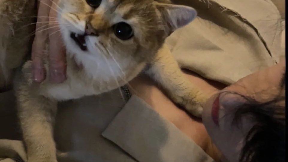 ͏͏͏͏͏͏

happy birthday, pretty. spend more of your birthdays with me?