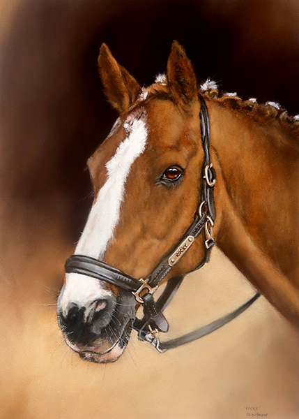 'Rocky' - 42cm x 30cm pastel on sennelier board.Ready for collection. The white bits on his mane are daisies-he was a 'guest' at a wedding !
