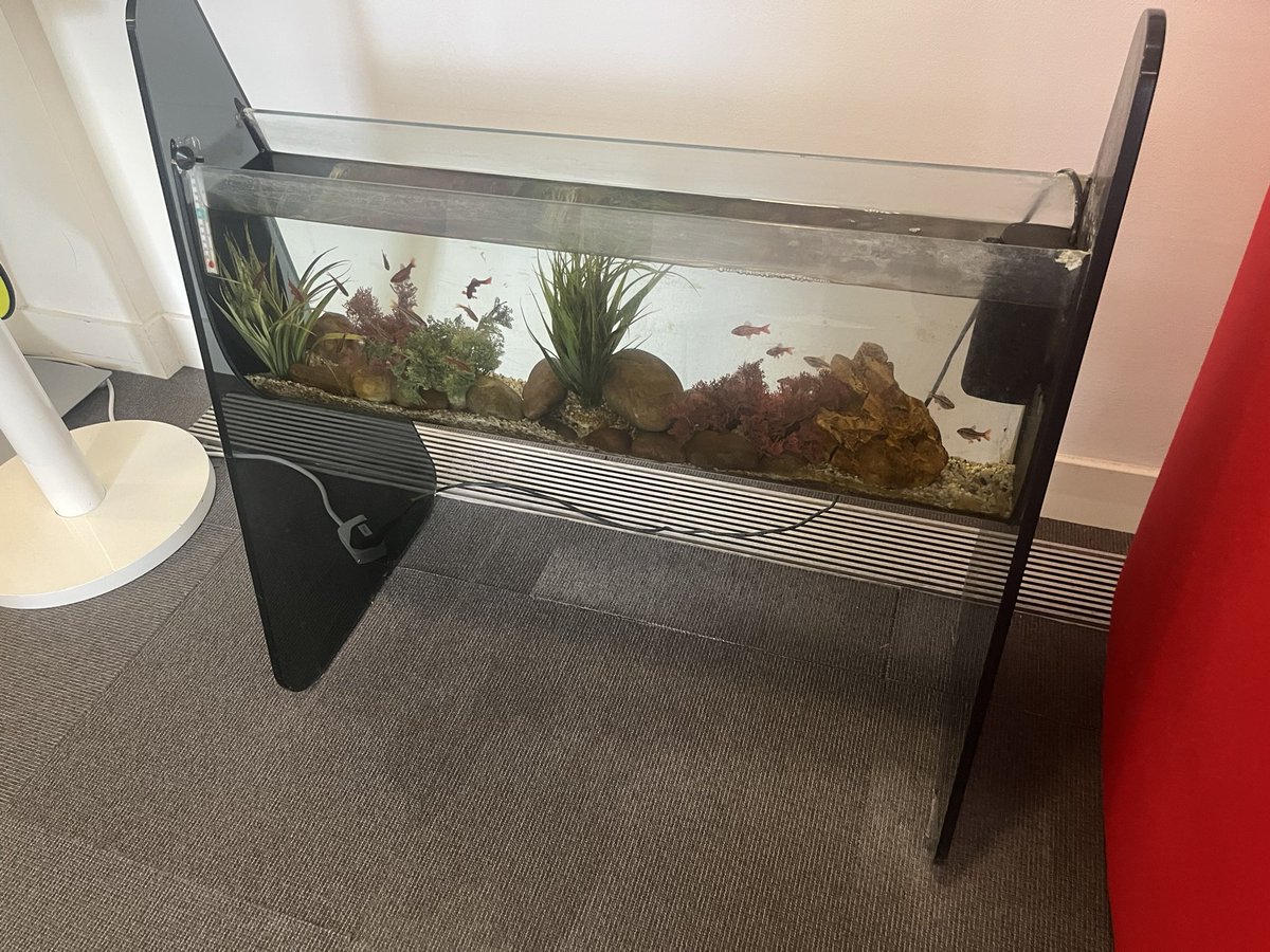 Leslie Bunder tweet media