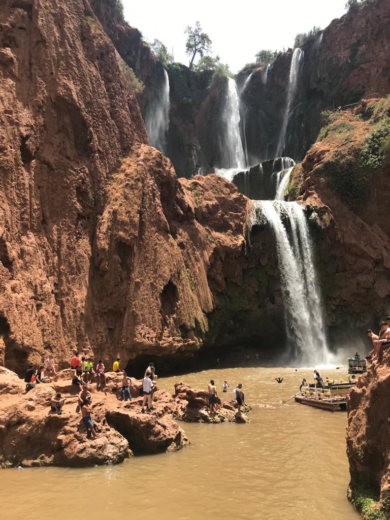 Bennett Memorial tweet media