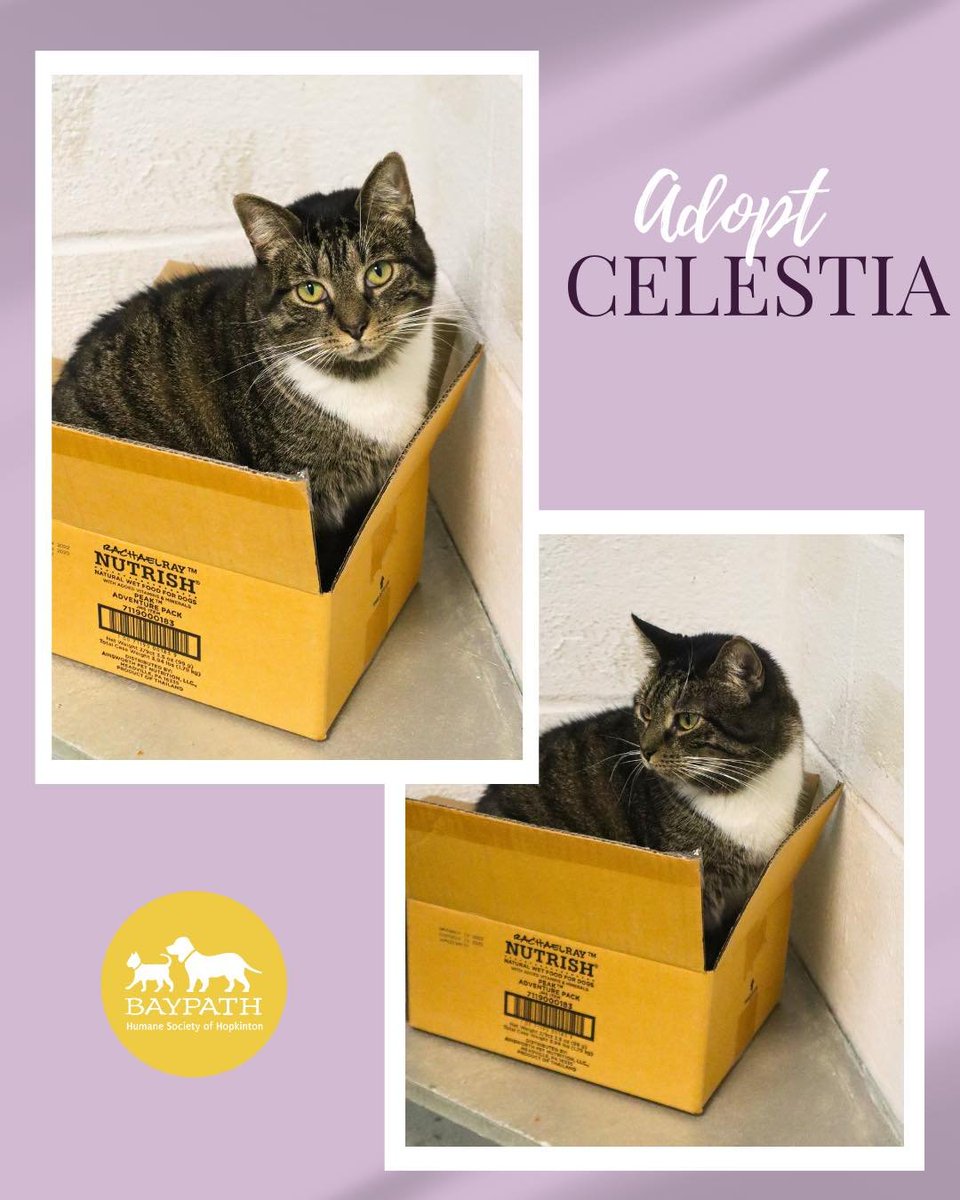 If Celestia fits, Celestia sits