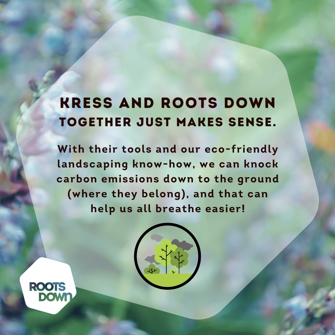 Roots Down tweet media