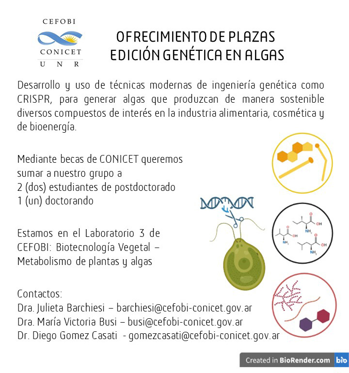 Maria Victoria tweet media