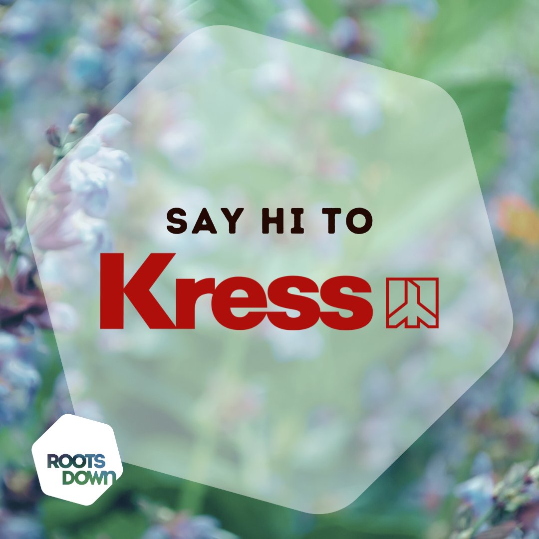 Roots Down tweet media