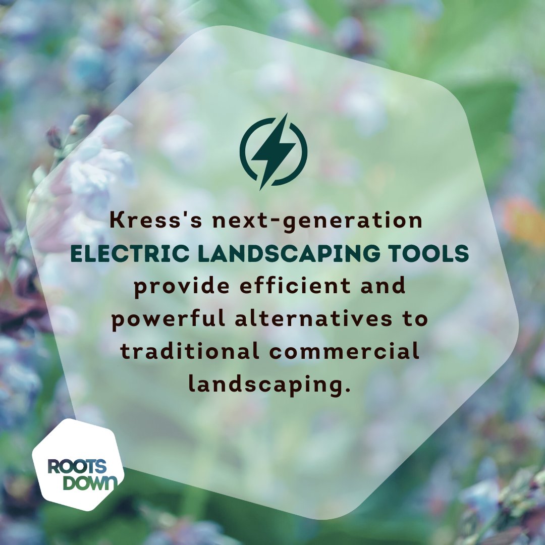 Roots Down tweet media