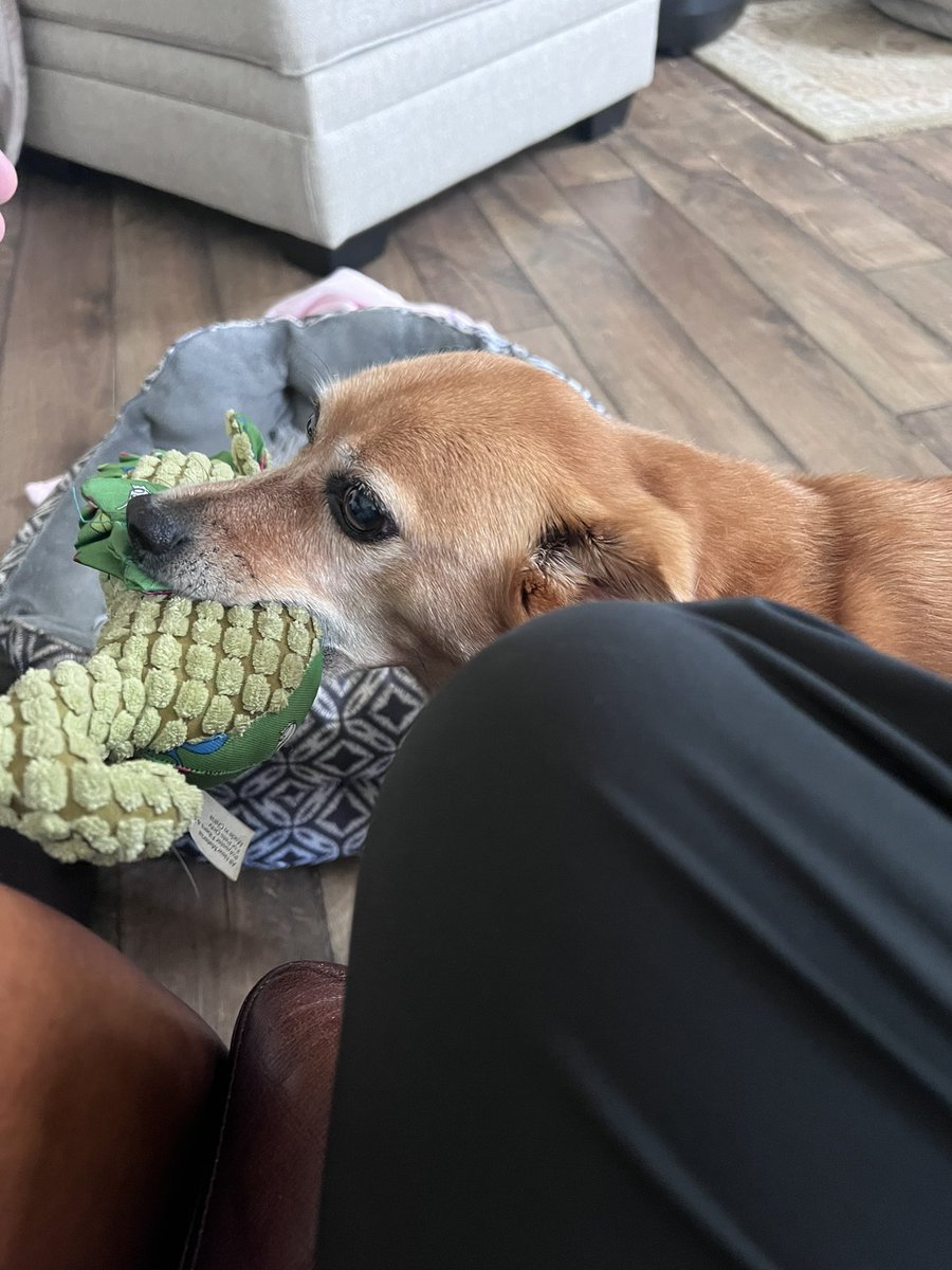 Evan Michio tweet media