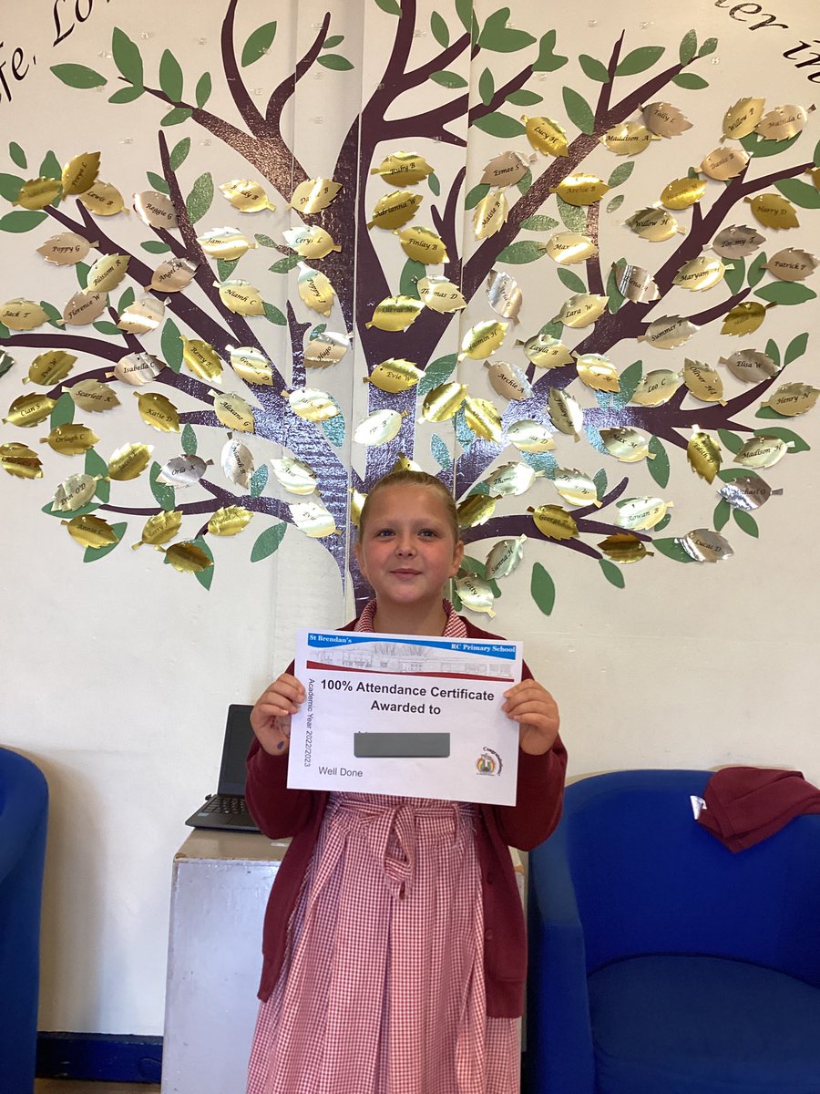 Fantastic achievement 100% Attendance