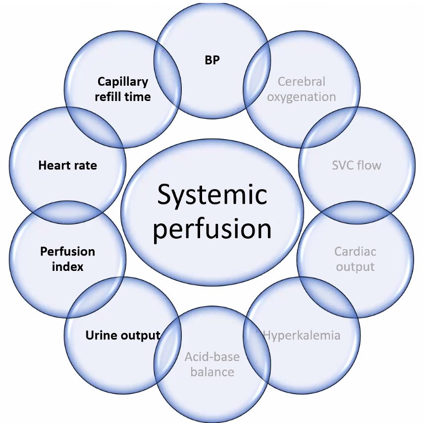 Dr. Aimann Surak's talk The Dilemma of Systemic Perfusion in Neonates is on YouTube: youtu.be/xp-L1h2yLcA. An excellent overview of the components of systemic perfusion, multimodal monitoring and ways to improve perfusion. #neoTwitter #neohemodynamics