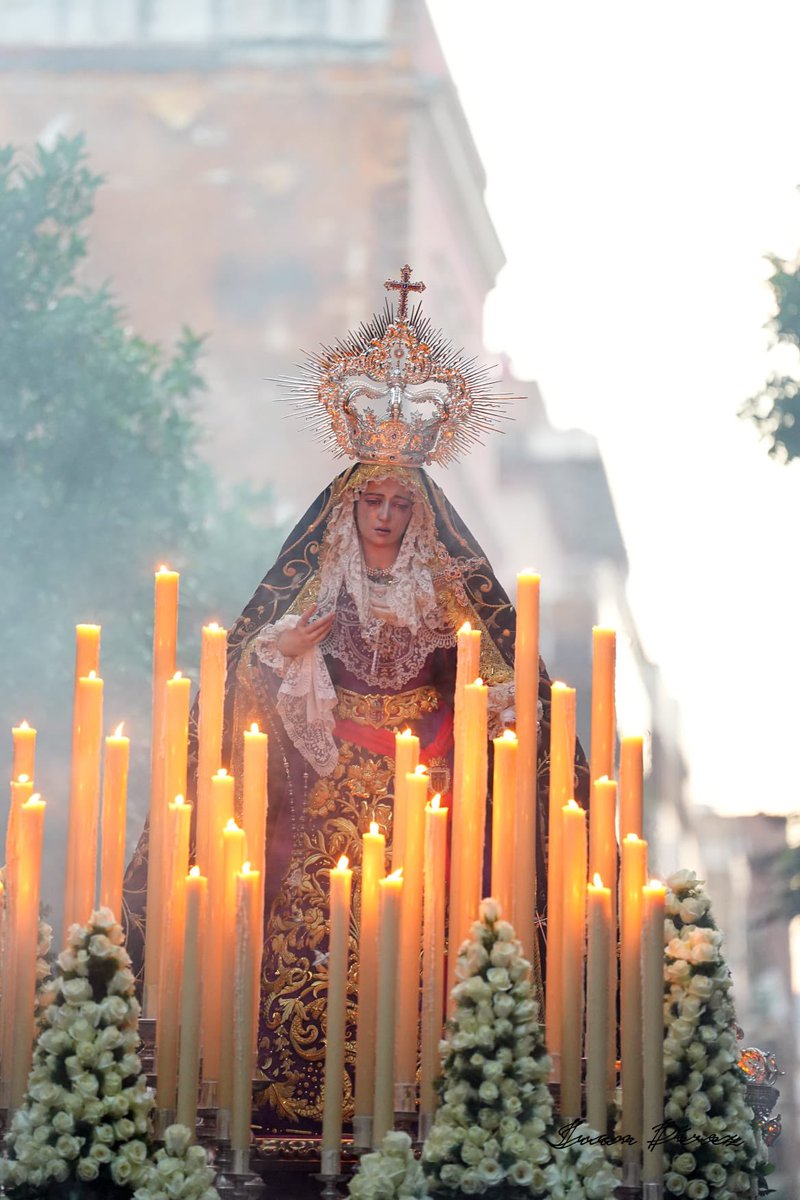 Reina de la Sabiduría, ruega por nosotros. 

#soberanopoder #iglesiadelamerced #córdoba #andalucía #españa #quintaangustiacordoba