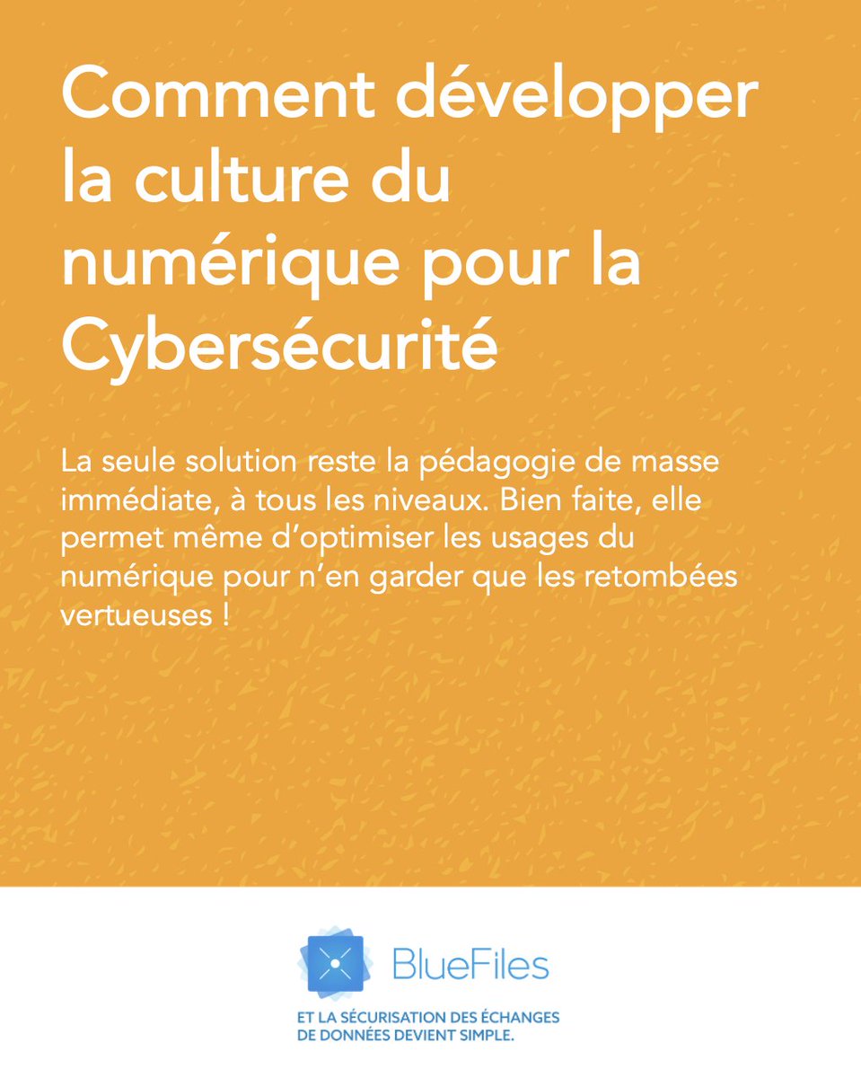 BlueFiles tweet media