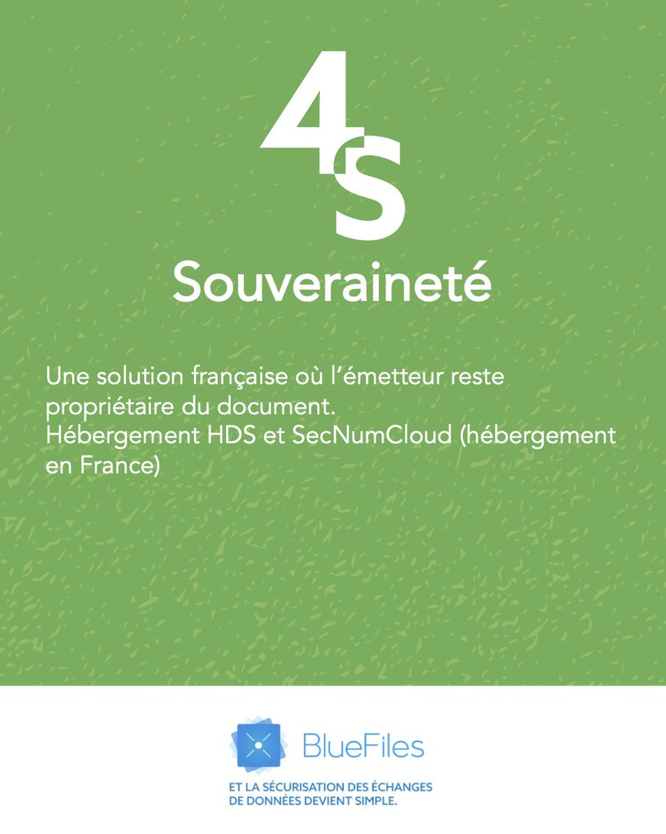BlueFiles tweet media