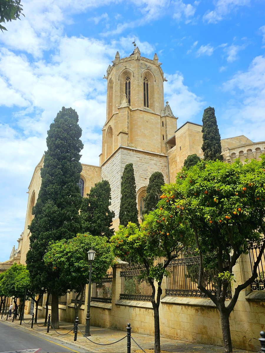 QuintanaCarles's tweet photo. La catedral de Tarragona rere els arbres #photographercarlesqf @PaisatgesC @camins_de @PassejantM #Tarragona #catedral #chatedral #Catalunya @CatedralTGN @esglesiatgn @TGNturisme @TGNcultura @patrimonigencat @catexperience #gòtic #gótico @caminsnatura #skyblue https://t.co/dCfpy1ib4t