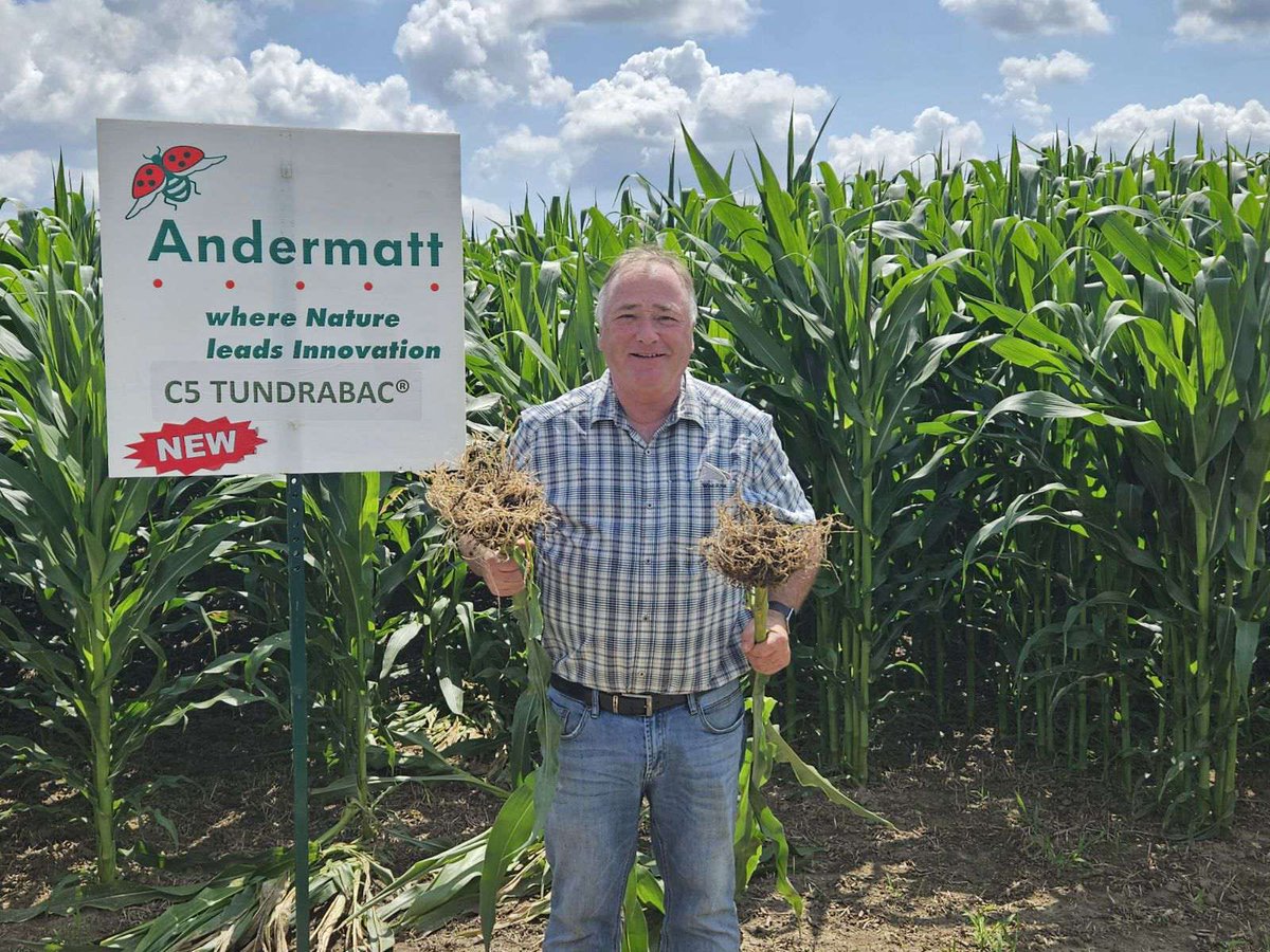 Thanks Colin Smith for the great talk on biologicals yesterday! Lots of big roots from the starter applied products! #biologicals <a href="/Andermatt_UK/">AndermattUK</a>