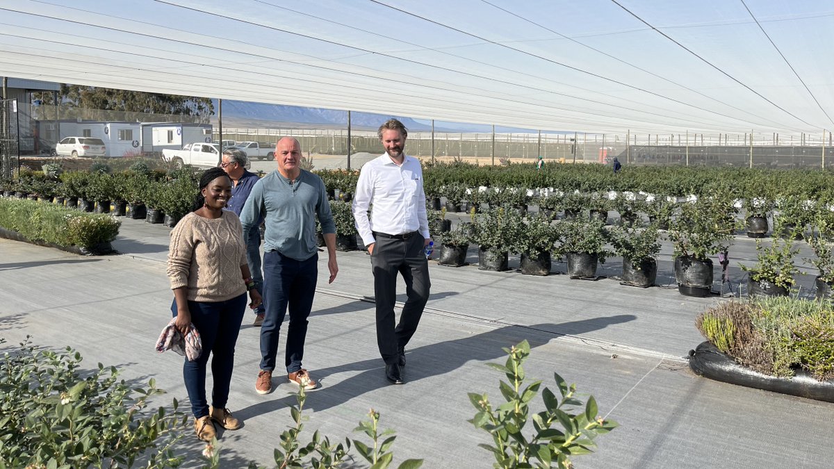 Celebrate with us as we mark a significant milestone in our #AfricaConnect journey! 🎉 We've signed our 50th deal, supporting European SMEs in their efforts to drive sustainable economic growth in #Africa.🌍 ➡️deginvest.de/Newsroom/News/…