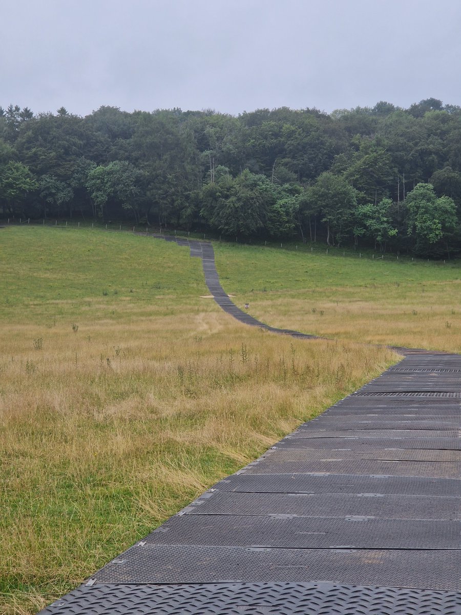 Location One Ltd tweet media