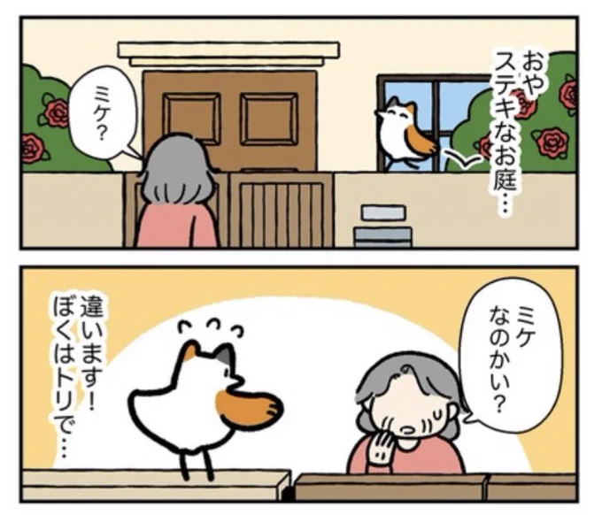 木曜なので「ねこドリ」が更新されてます!見知らぬお婆さんとの出会い。やっぱりねこに間違われるねこドリだが… 現在六話まで公開中です🐱🐤 