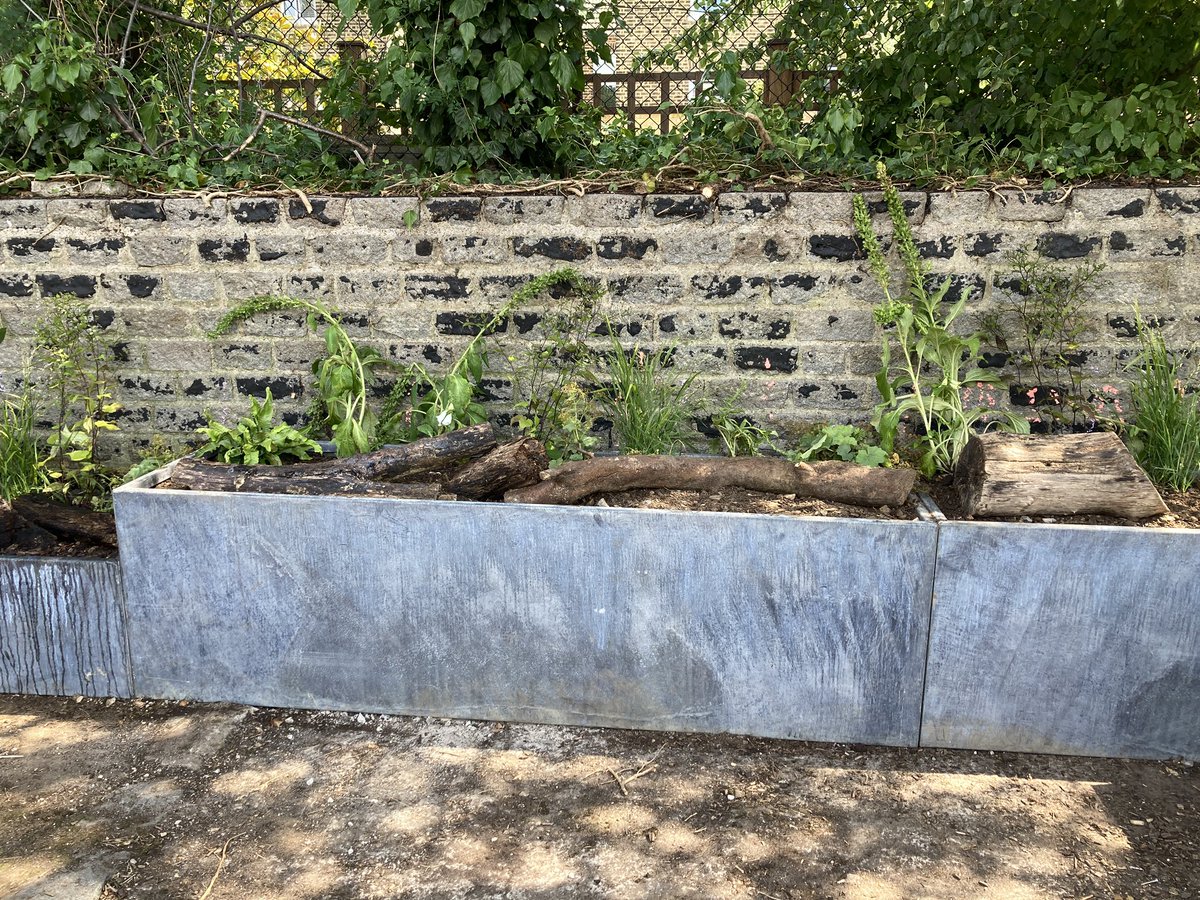 Fab day with volunteers at the Centre for Wildlife Gardening. Relocating the #rhshampton show garden. Most of the garden is greening up a particular area for school children to turn over logs, with plants shared all over the site. @WildLondon @frogheath <a href="/WildlifeTrusts/">The Wildlife Trusts</a> #london