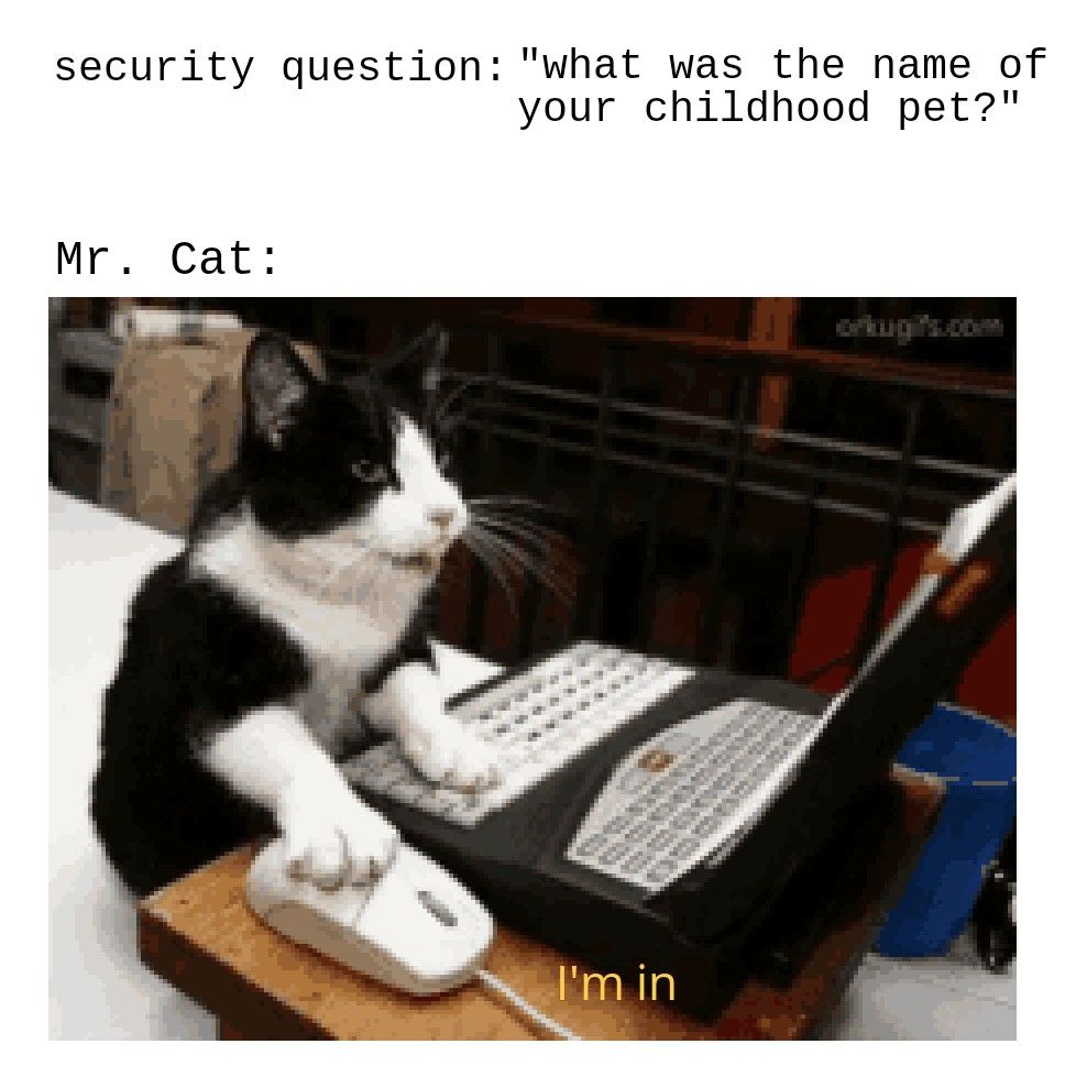 AidanThorntonLD's tweet photo. Poor password hygiene can leave your organisation a 'purrfect' target for cybercriminals 😿 ⚠

This applies to security questions too...

Train your staff with our range of expert-made cyber security courses 💪

Find them here: https://t.co/tX2o7g5GoJ

#passwordsecurity #ad https://t.co/faXaEeKzeP