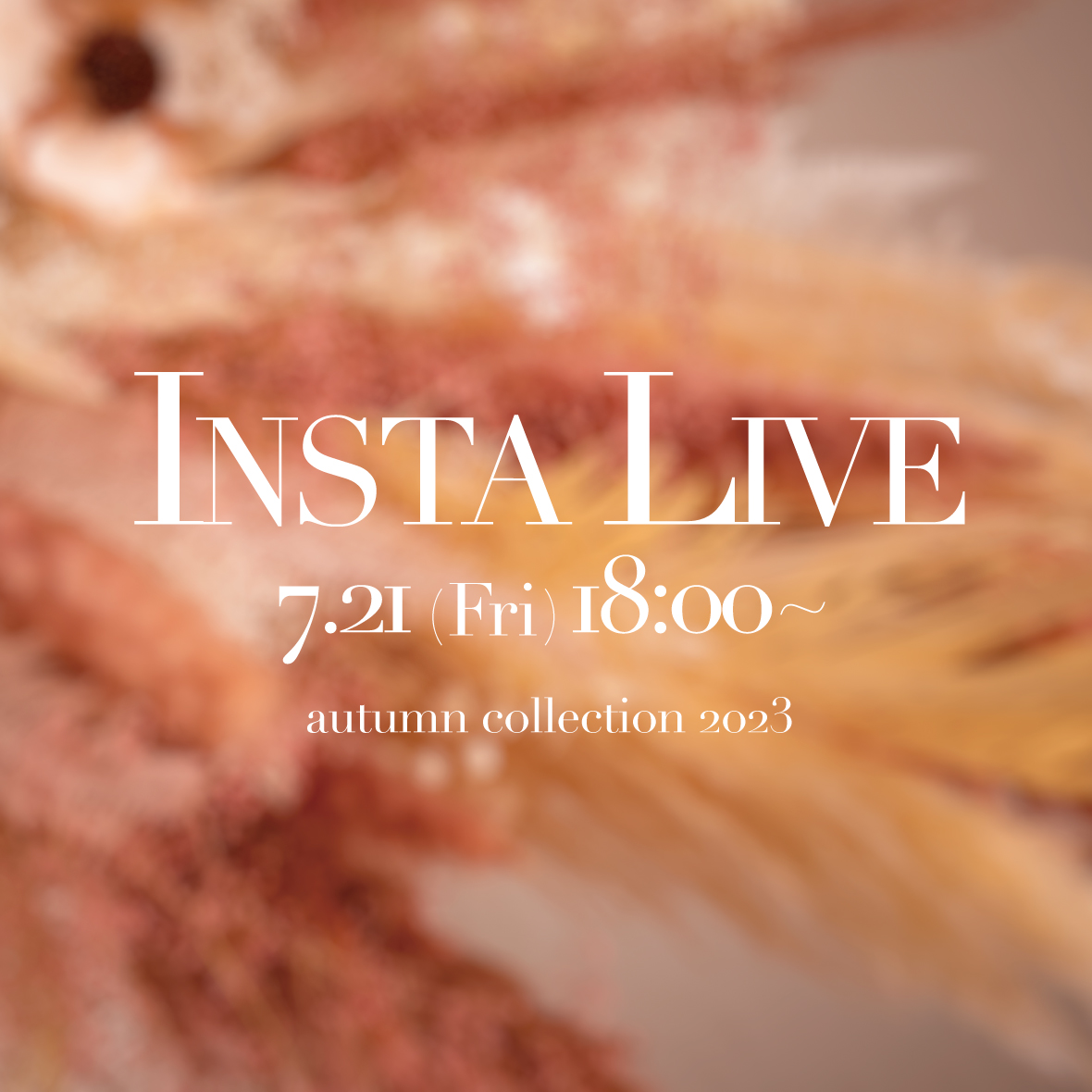 blm_official_jp's tweet photo. 明日18時からインスタライブにて秋コレクションのご紹介をいたします！是非チェックしてみてください💍

日時：7月21日（金）18時〜

＼ BLOOM公式Instagram ／
https://t.co/GB2ekg2idY https://t.co/x8zDrBCy7t
