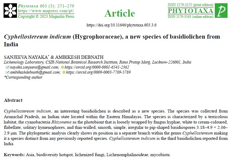 nayakasanjeeva's tweet photo. Happy announce publication of a new basidiolichen 'Cephellostereum indicum' in the recent issue of @Phytotaxa. For the first time we used the ITS sequence in support of our morphological observations. The work is supported by @serbonline 
@csirnbrilko @debnathambikes @lichen_nbri https://t.co/egBqJeY6eY