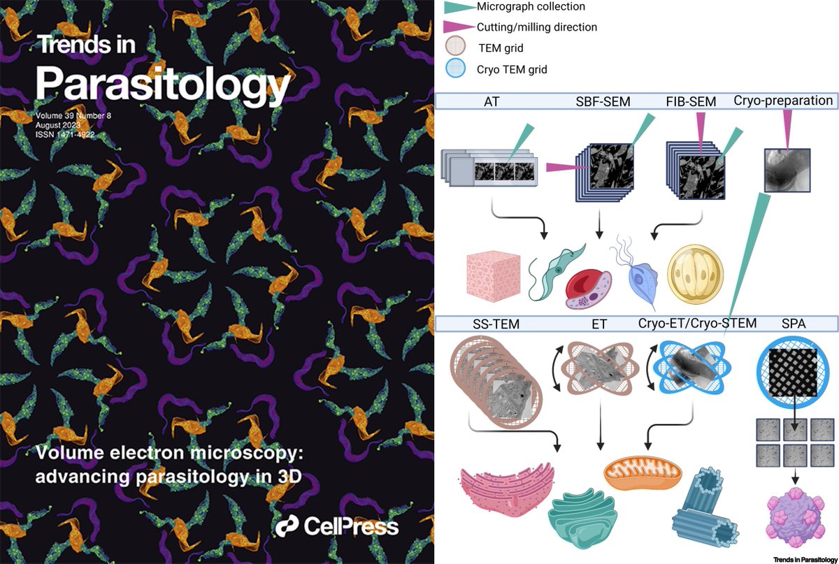 Trends in Parasitology tweet media