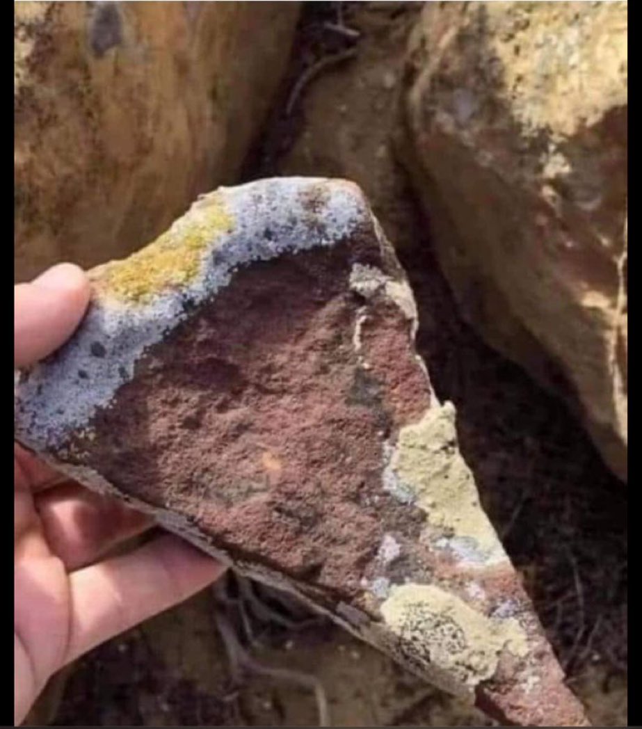 Stemplar9's tweet photo. Pointe de pizza fossilisée, trouvée près d’une pizzeria de la période du Crétacé, qui est Naples actuellement aujourd’hui #FunnyThursday https://t.co/C9PKX4QwuC