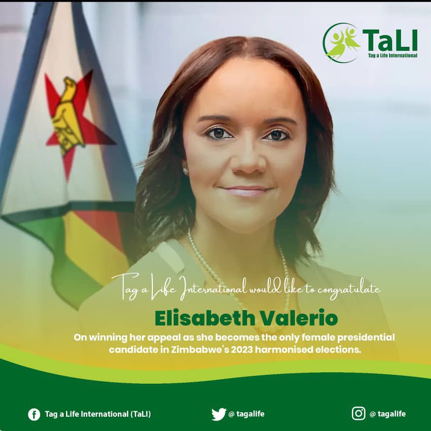 TaLI congratulates @PresValerio on becoming the only female presidential candidate in Zimbabwe’s upcoming August 23 elections! 

This is a remarkable step for #womenempowerment and bringing Girls to the Table!! We wish you luck Ms Valerio!
Read more ➡️ identitiesmedia.com/2023/07/20/eli…