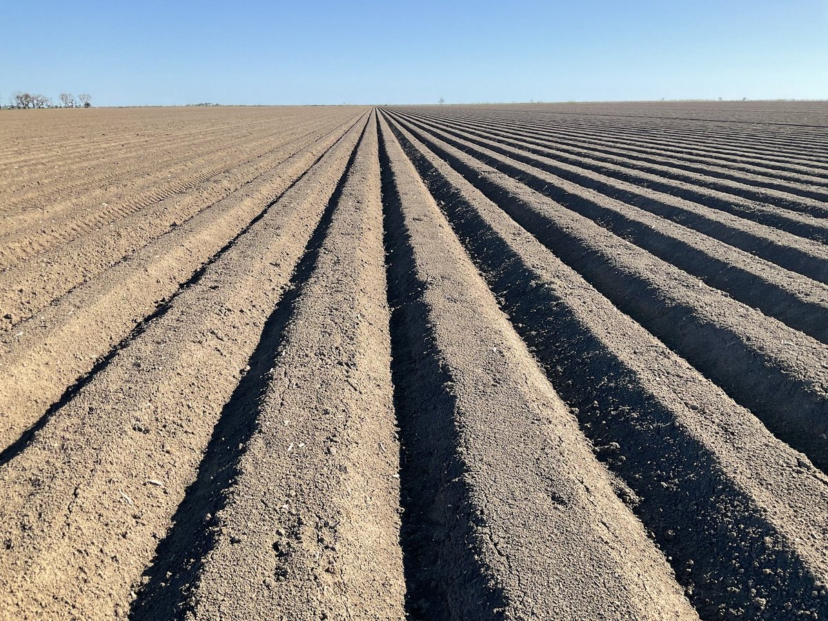 ReLasered ✅ MAP Spread ✅ Hills Up ✅ NH3 Banded ✅ Bed Shaped and Rolled ✅ Knockdown with Residual Applied ✅ Pre-irrigated Before EOFY ✅ #yearoftheperfecthill23 #kitkats #coonarafarming