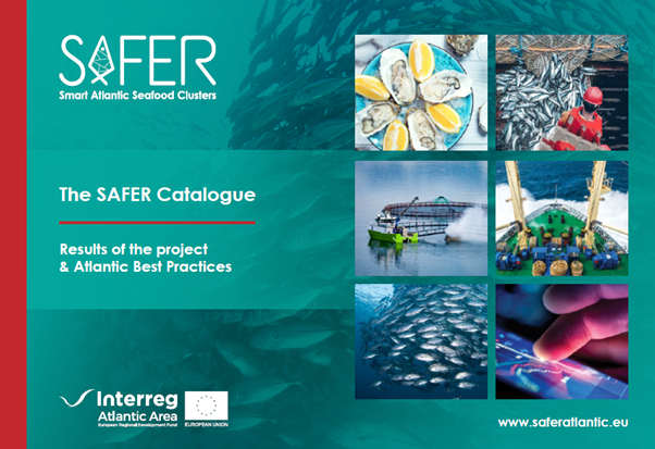 SAFERatlantic's tweet photo. 🙌Since the beginning, @AtlanticArea #SAFERproject have published different documents to improve the #innovation performance of the #seafood sector by increasing #technology adoption:

✅SAFER Catalogue
✅Industry 5.0 Paper
✅SAFER Policy Toolkit

🔎More https://t.co/74sLXwQNGk https://t.co/zrmpbnJBu4