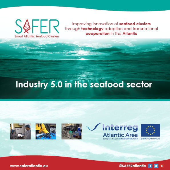 SAFERatlantic's tweet photo. 🙌Since the beginning, @AtlanticArea #SAFERproject have published different documents to improve the #innovation performance of the #seafood sector by increasing #technology adoption:

✅SAFER Catalogue
✅Industry 5.0 Paper
✅SAFER Policy Toolkit

🔎More https://t.co/74sLXwQNGk https://t.co/zrmpbnJBu4