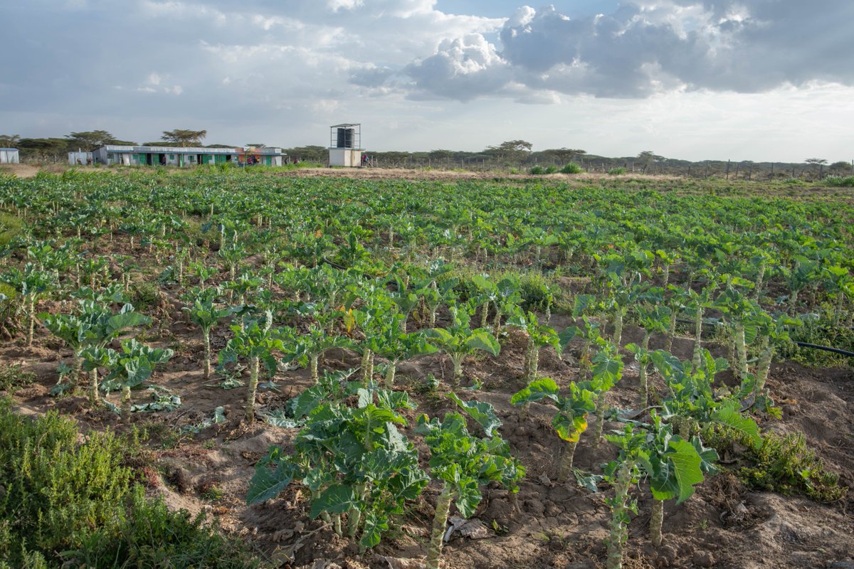With support from <a href="/SuboticStiftung/">NevenSuboticStiftung</a>, we are implementing a 100% WASH project in <a href="/NarokCountyGvt/">NAROK COUNTY GOVERNMENT</a> to complement the County’s efforts of providing access to safe water and sanitation for all. The project focuses on securing the human rights to safe drinking water, sanitation and