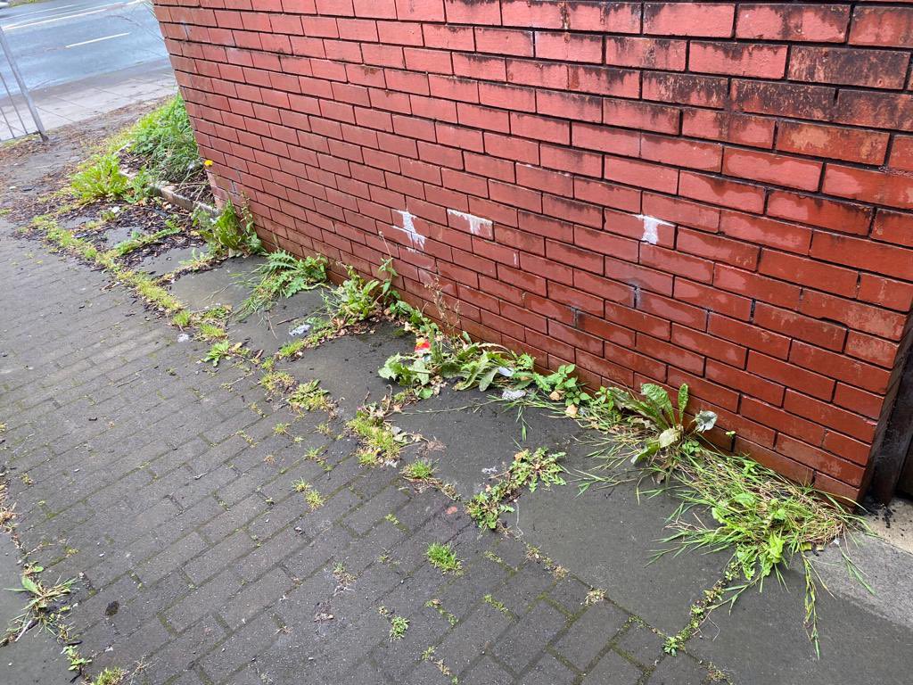 CllrPadraigSF's tweet photo. From this is to this. Recently I was contacted by residents regarding the upkeep of this alleyway. I want to thank @belfastcc  for coming out and tidying it up. What a fantastic job. https://t.co/GBIpZYpMGm
