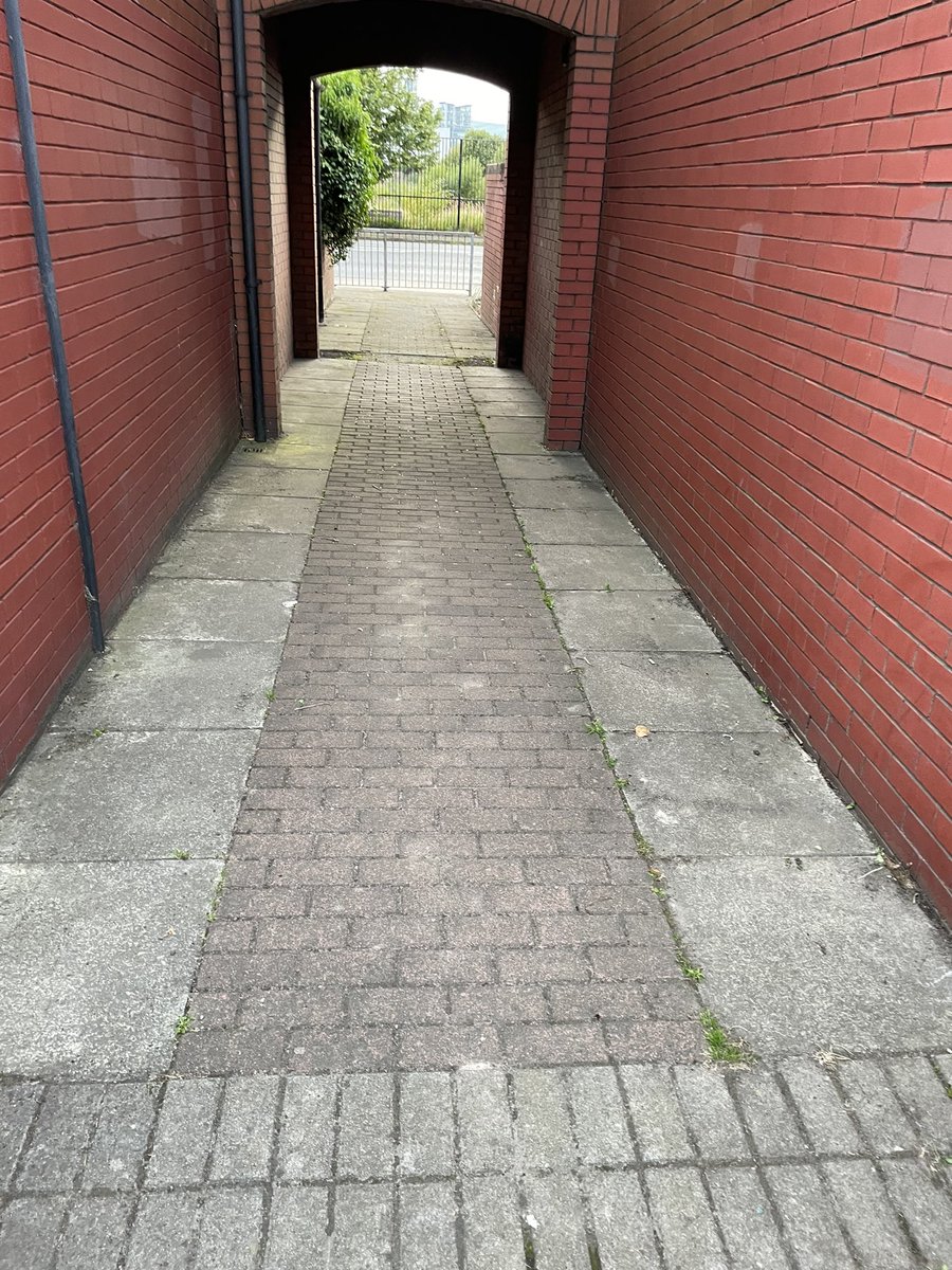 CllrPadraigSF's tweet photo. From this is to this. Recently I was contacted by residents regarding the upkeep of this alleyway. I want to thank @belfastcc  for coming out and tidying it up. What a fantastic job. https://t.co/GBIpZYpMGm
