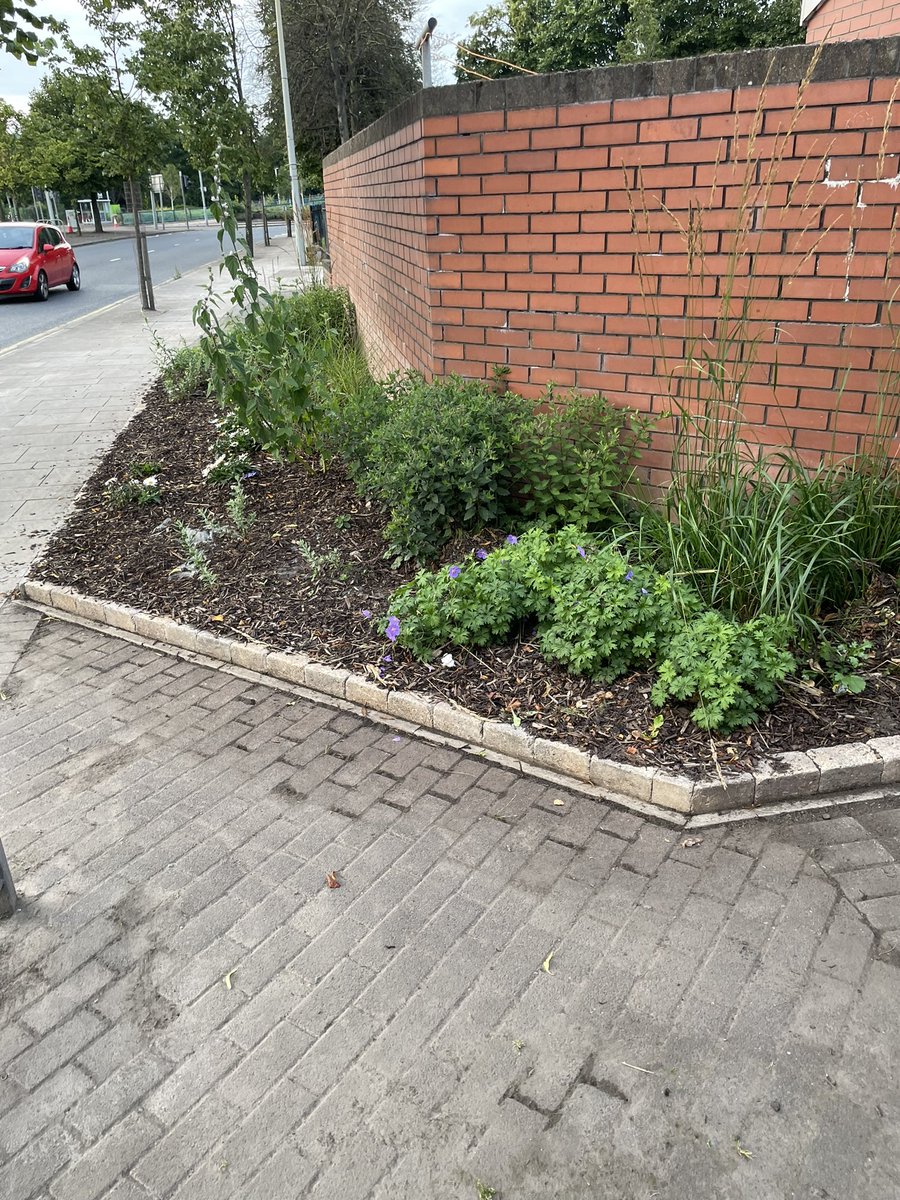 CllrPadraigSF's tweet photo. From this is to this. Recently I was contacted by residents regarding the upkeep of this alleyway. I want to thank @belfastcc  for coming out and tidying it up. What a fantastic job. https://t.co/GBIpZYpMGm